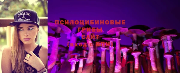 прущие крисы Алексеевка