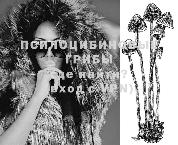 ПСИЛОЦИБИНОВЫЕ ГРИБЫ Алзамай